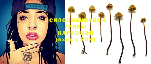 синтетический гашиш Медвежьегорск
