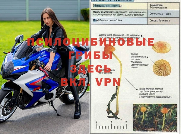 дмт Анива